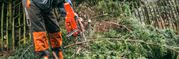 Tree Felling | Tree Stump Removal in Cork - All Counties Tree Surgery