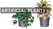 Buy Artificial Plants from Atkins for Complementing Your Place