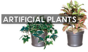 Want to Shop Artificial Plants? Visit Here… 