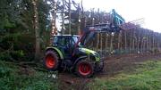 Tree Removal Company Cork in Glanmire